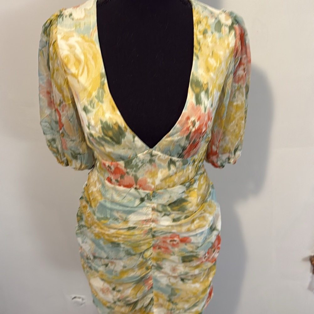 Floral V-Neck Ruched Dress - Picture 2 of 8